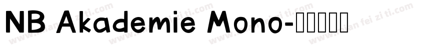 NB Akademie Mono字体转换